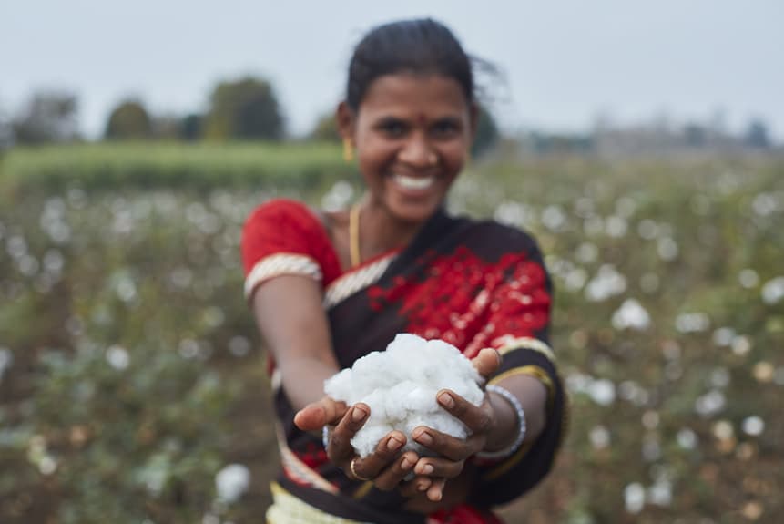 Cotton farming Chetna