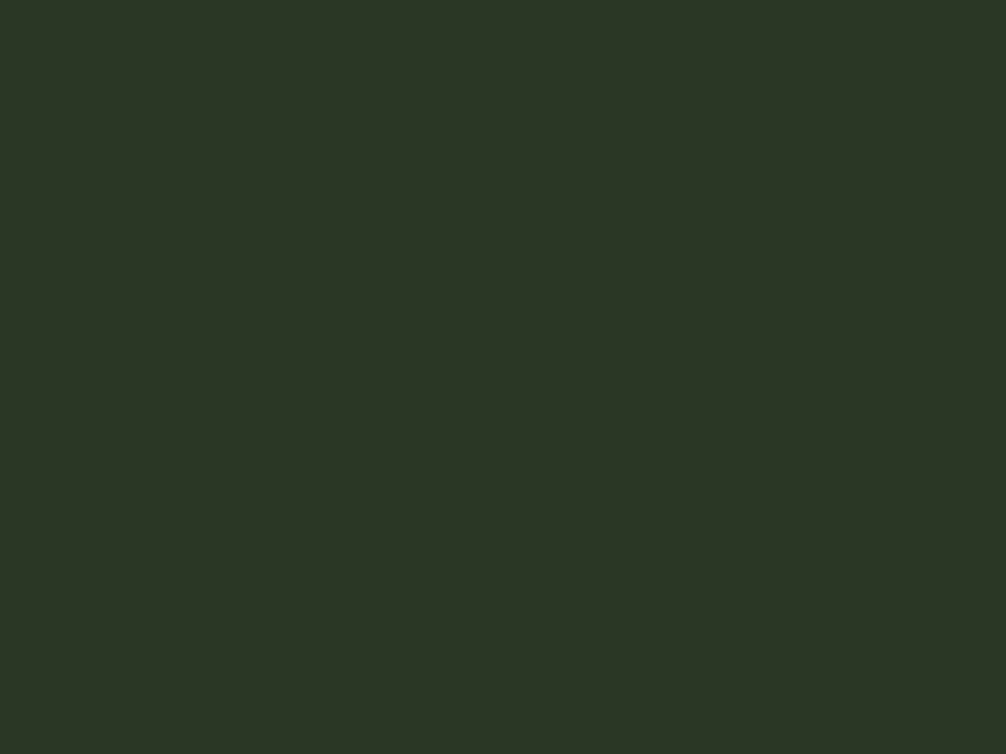 Pillowcase Fond - Forest Green - 50x90 cm