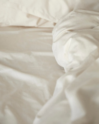 Flat Sheet Lind - Raw Cotton Flat Sheet Lind - Raw Cotton